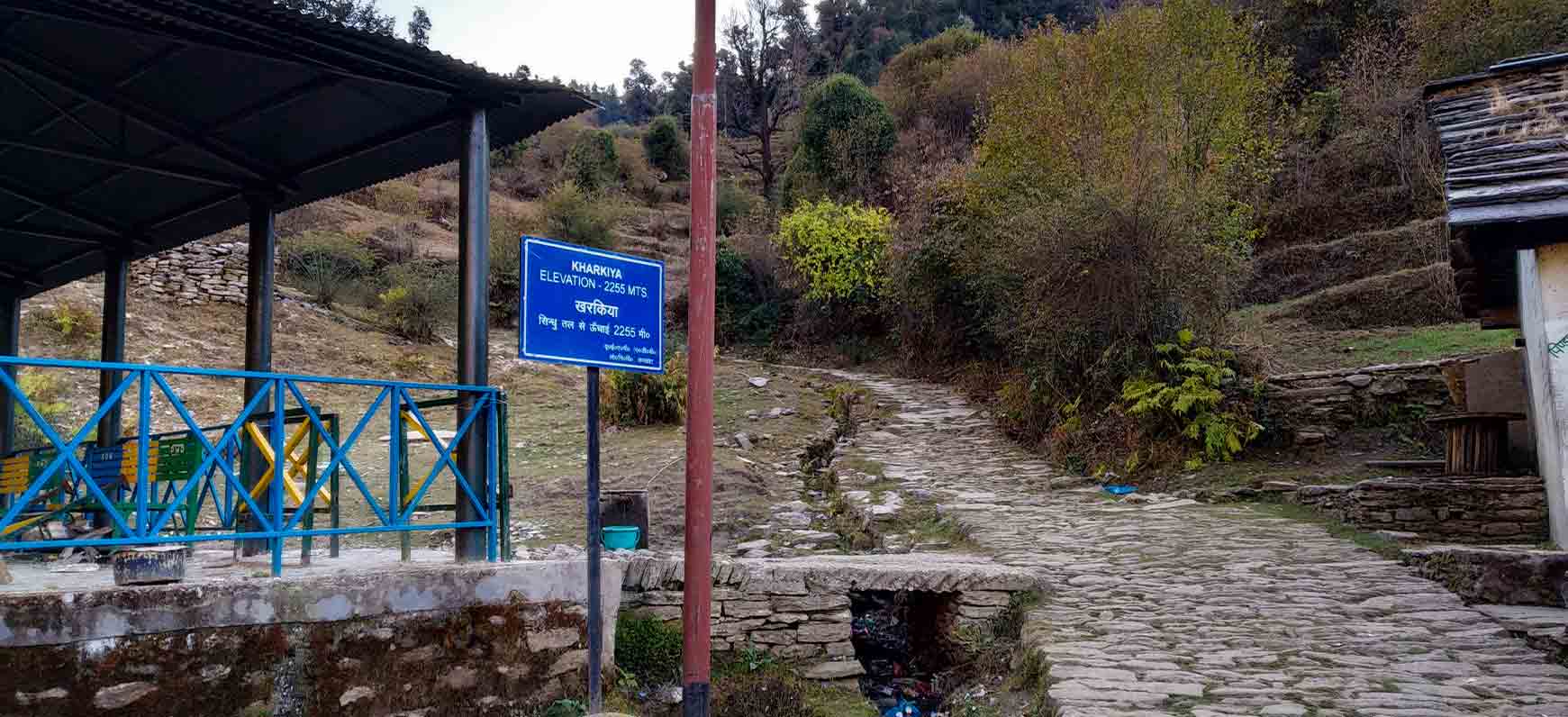 pindari glacier trek