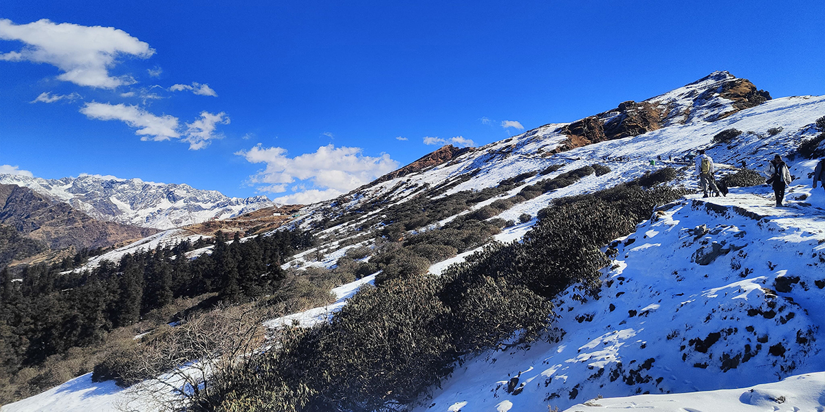 Chopta Chandrashila trek