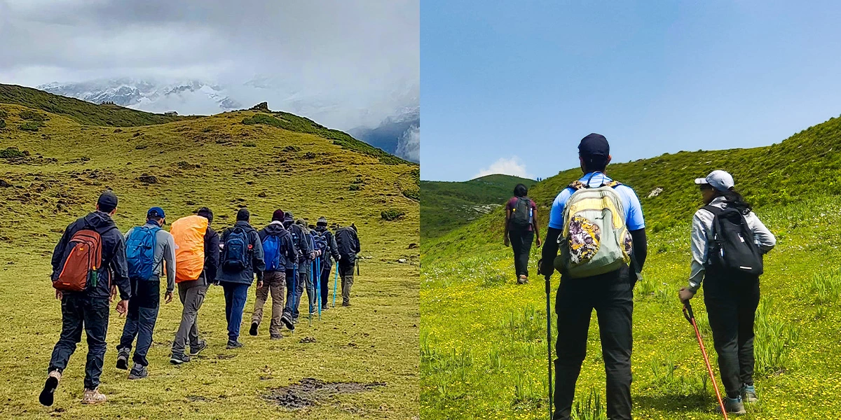 Trekking or hiking