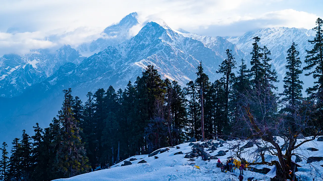Winter Kuari Pass Trek beautiful view of pine forests and mountains