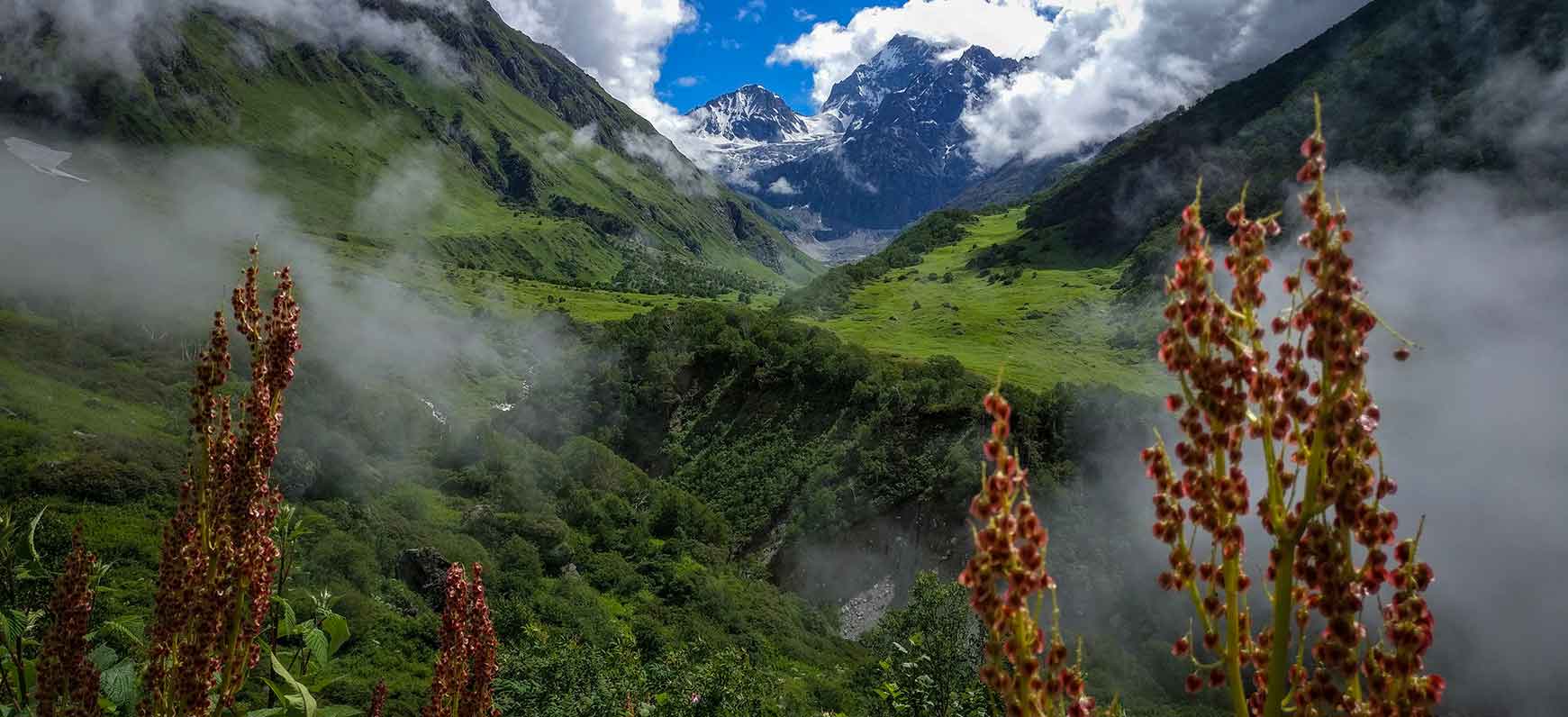Valley of Flowers