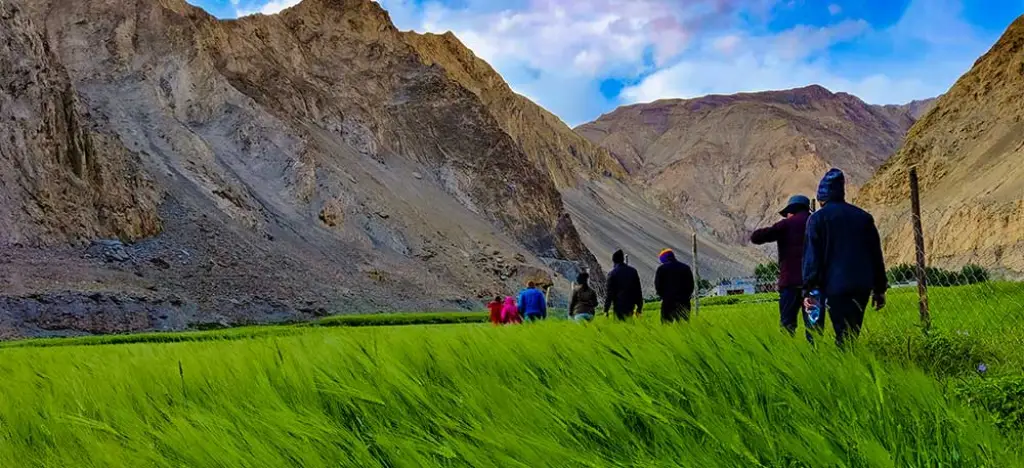 Markha Valley Trek