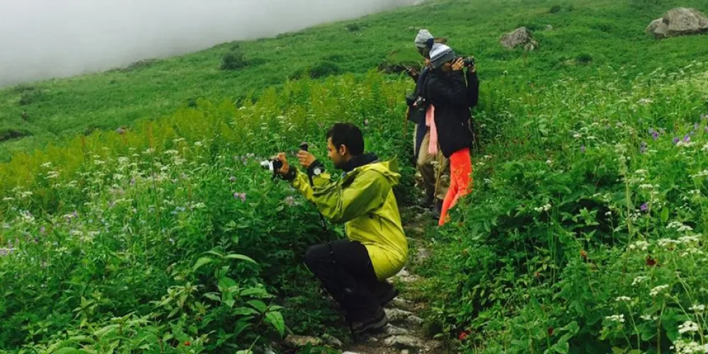 Great time for photography in Valley of Flowers