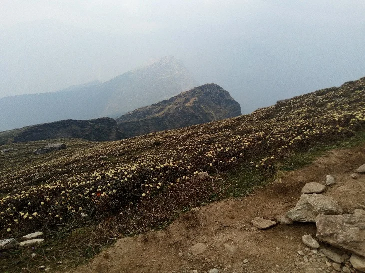 Chopta-Chandrashila Trek
