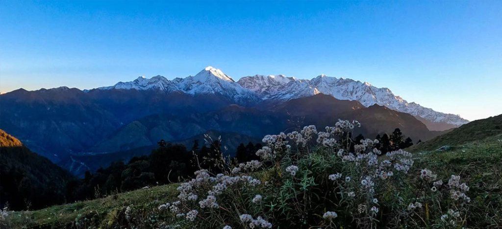 Bagji Bugyal Trek