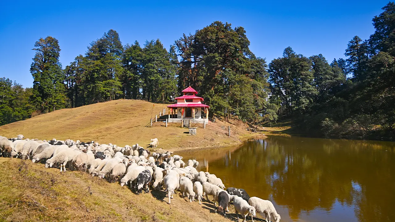 Weather Update of 16-Dec-2025 by Trek The Himalayas