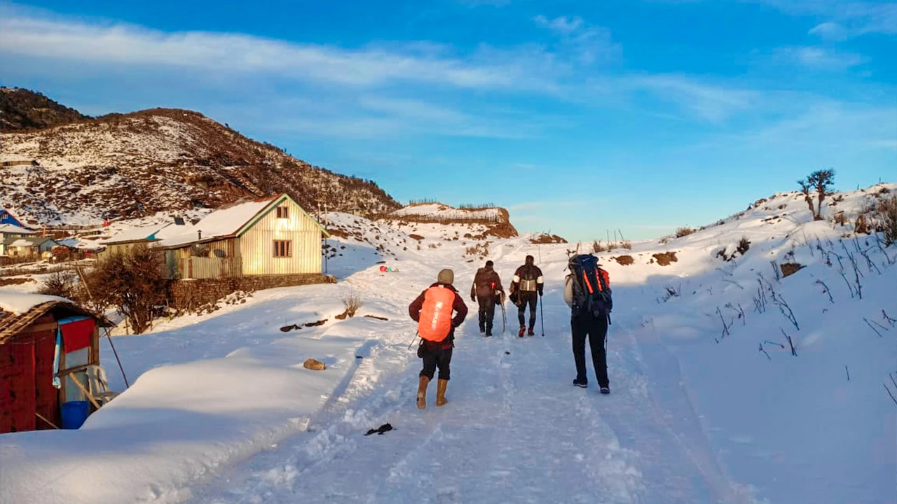 Warm sunlight falling on the snow as hikers walk along the route of the Sandakphu trek