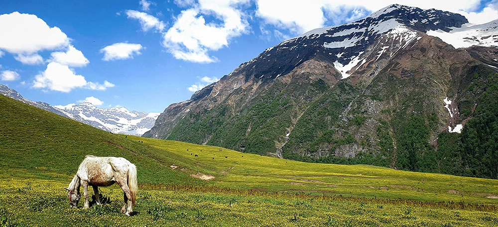 buran ghati pass trek