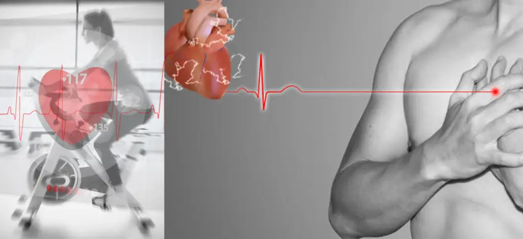 Importance of Regular Fitness Routine