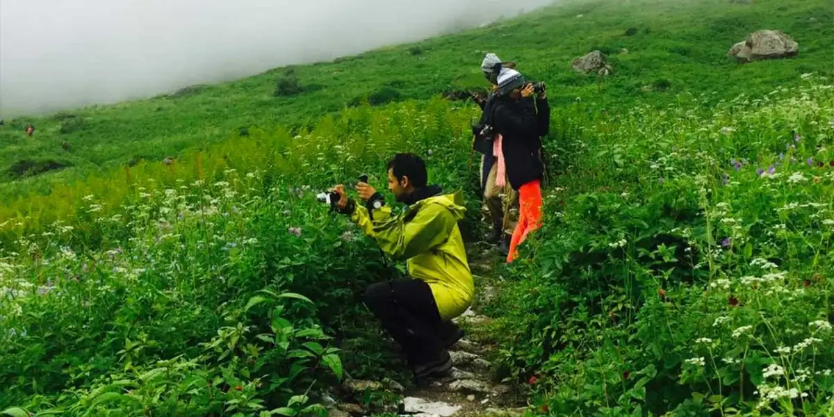 A Paradise for Photographs- valley of flowers