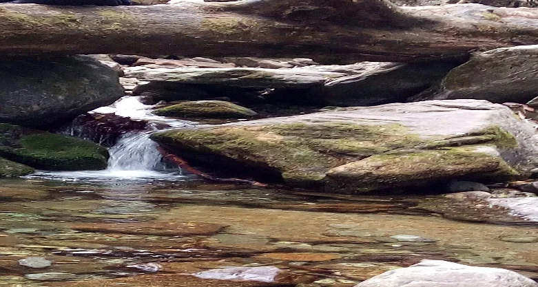 Chopta-Chandrashila Trek