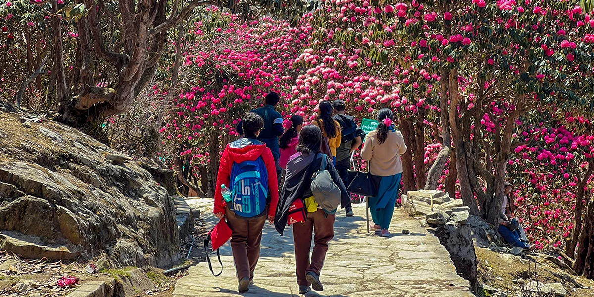 Experiential Learning for Schools, Colleges & Corporates