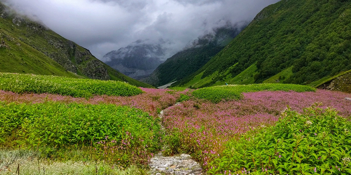 Valley of Flowers Trek