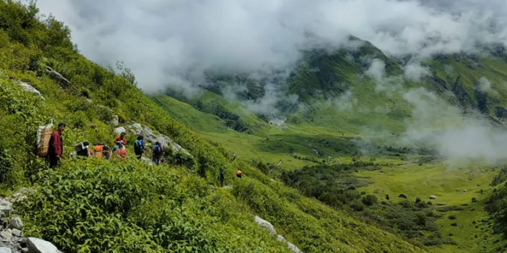 best time to visit in valley of flowers