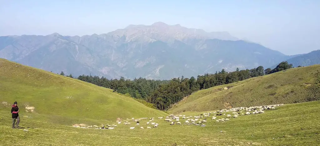 Roopkund Trek